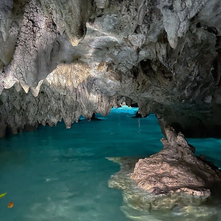 Tulum Casa Tortuga